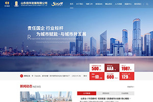 山東信華發展有限公司