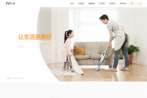 山東派智新能源科技有限公司