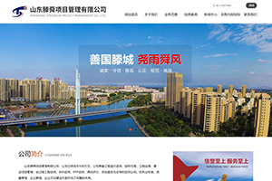 山東滕舜項目管理有限公司